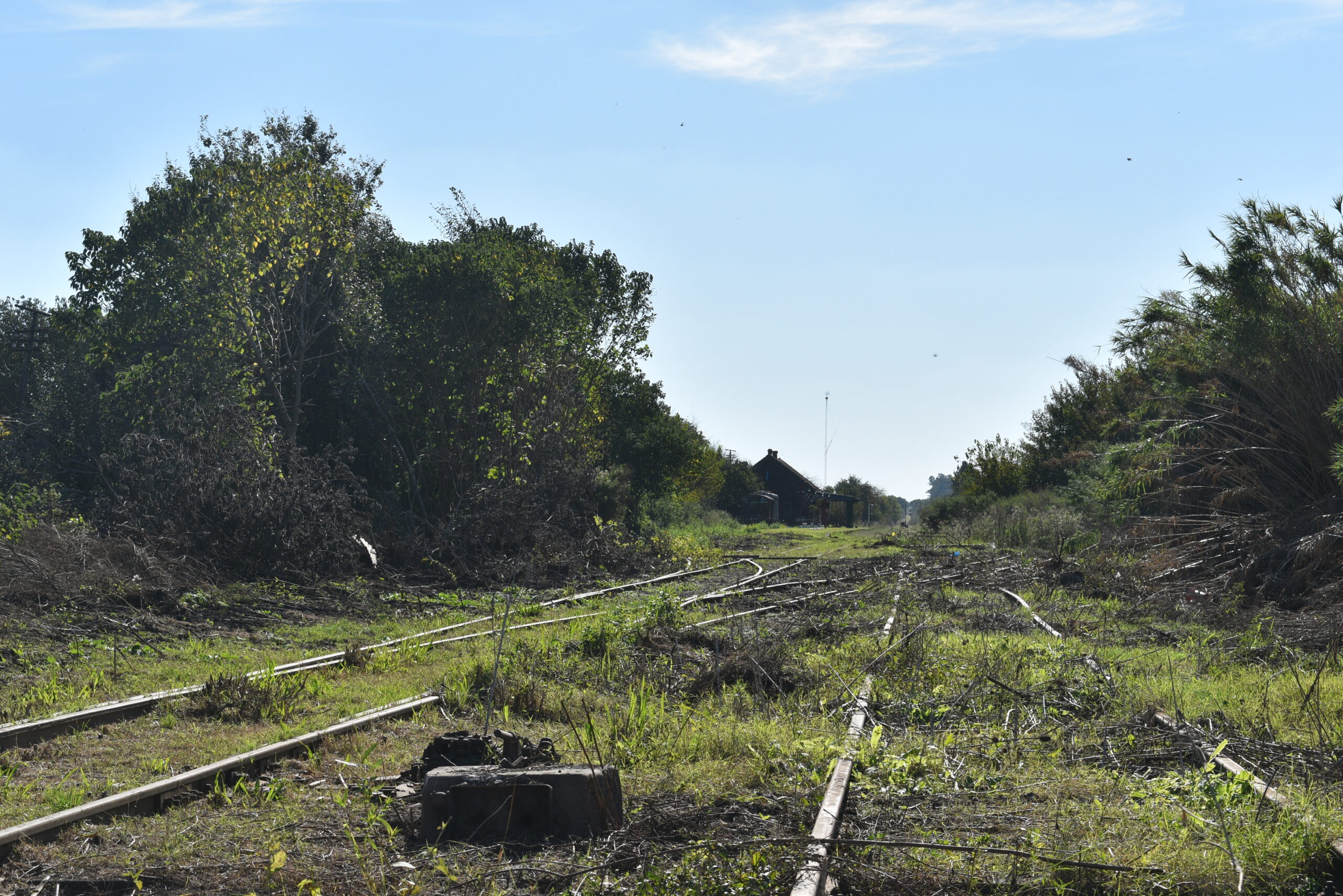 Cicloturismo San Antonio de Areco - Imagen 9