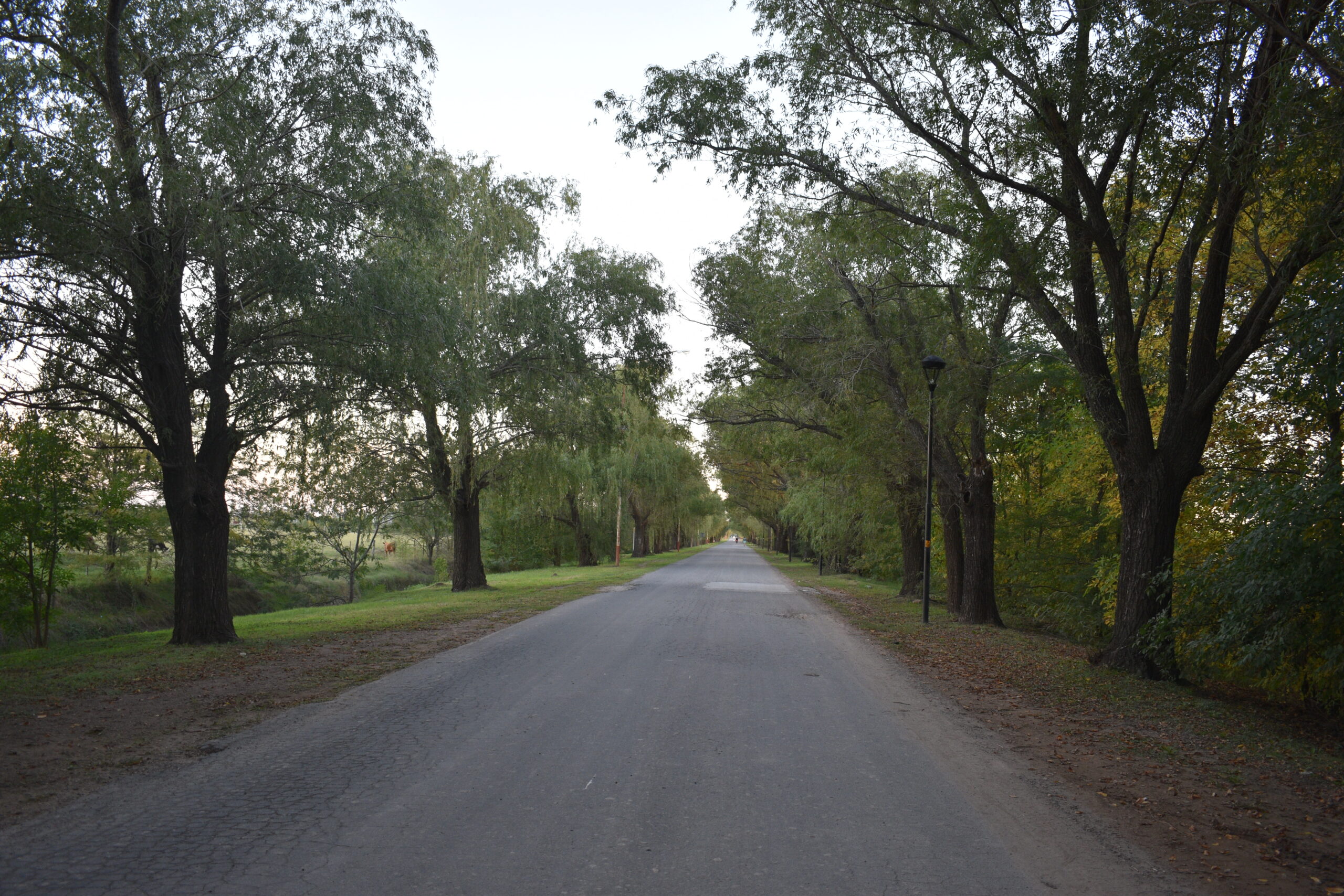Cicloturismo San Antonio de Areco - Imagen 15