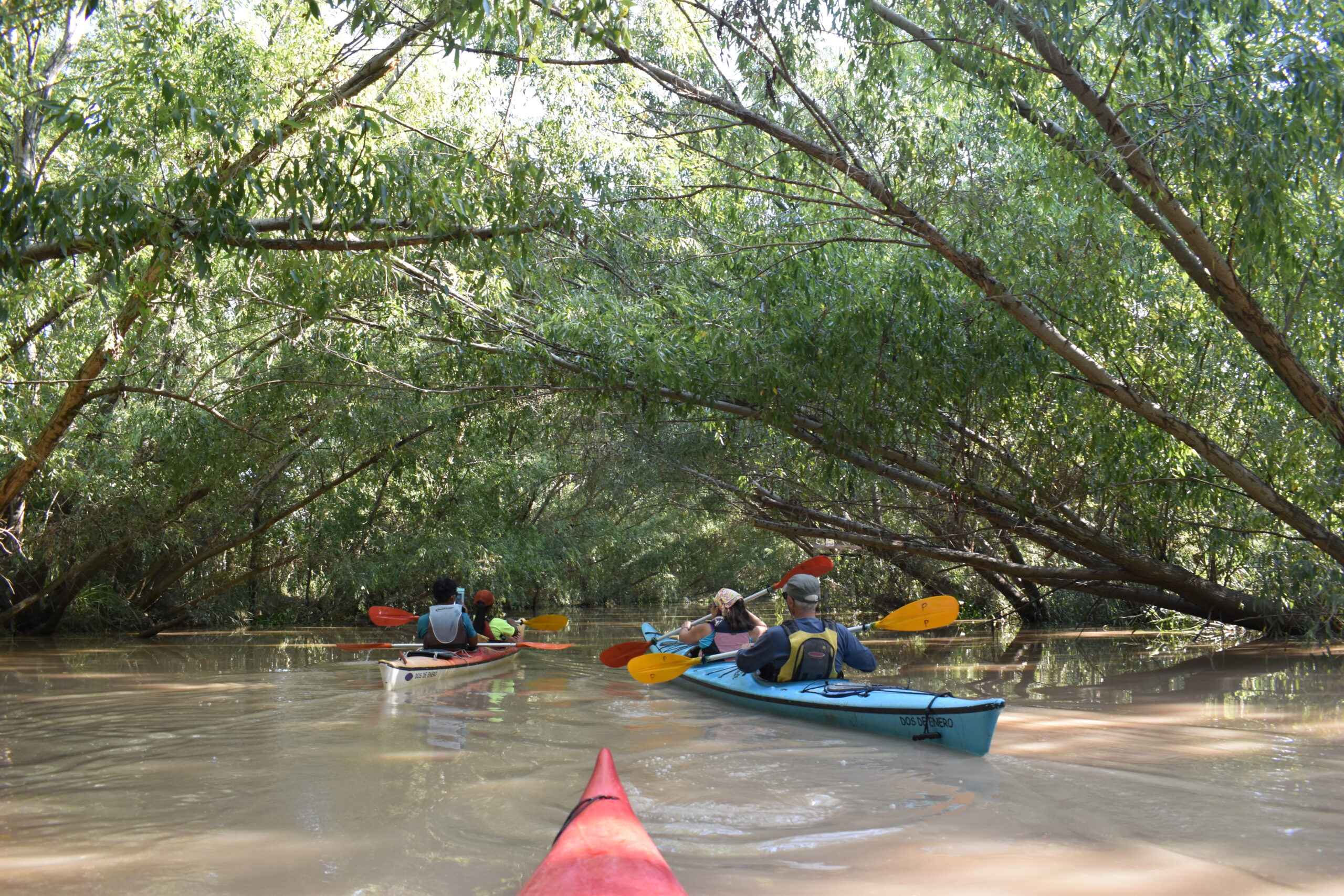 Travesía al Rio de la Plata - Imagen 6