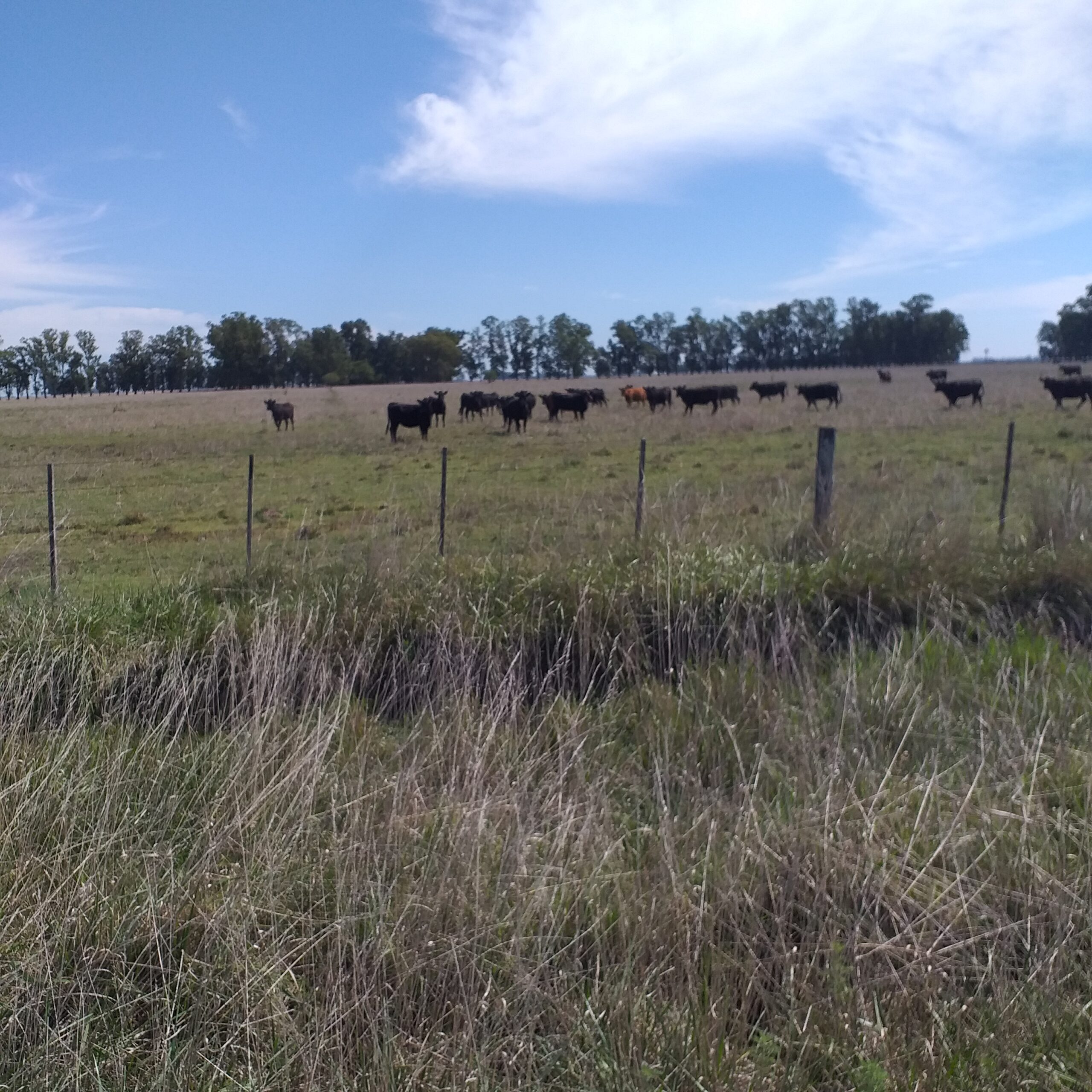 Cicloturismo Navarro - Imagen 12
